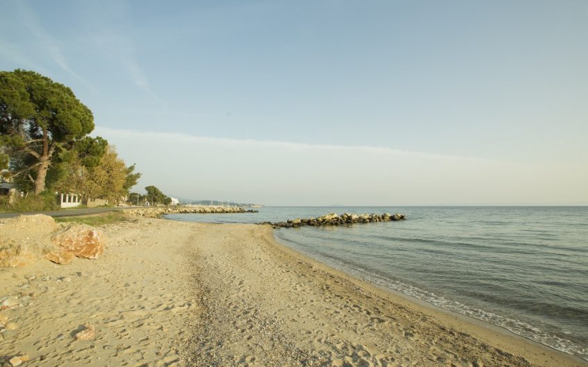 A Lovely Family House by the sea in Nikiti
