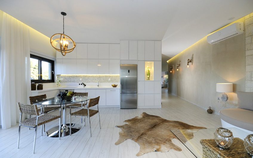 Modern Villa Nafsika at Sani