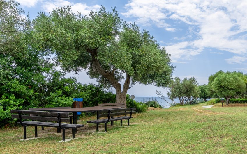 Seafront Beach House Skioni