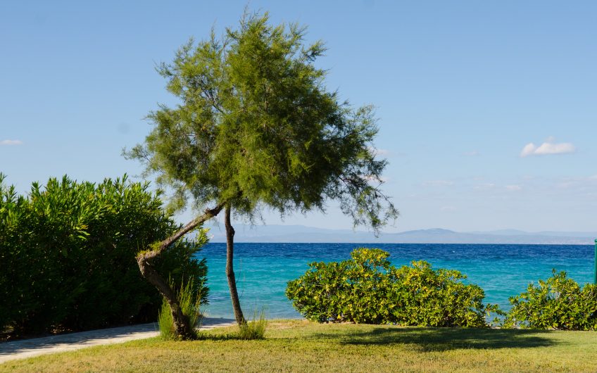 Summer getaway by the sea