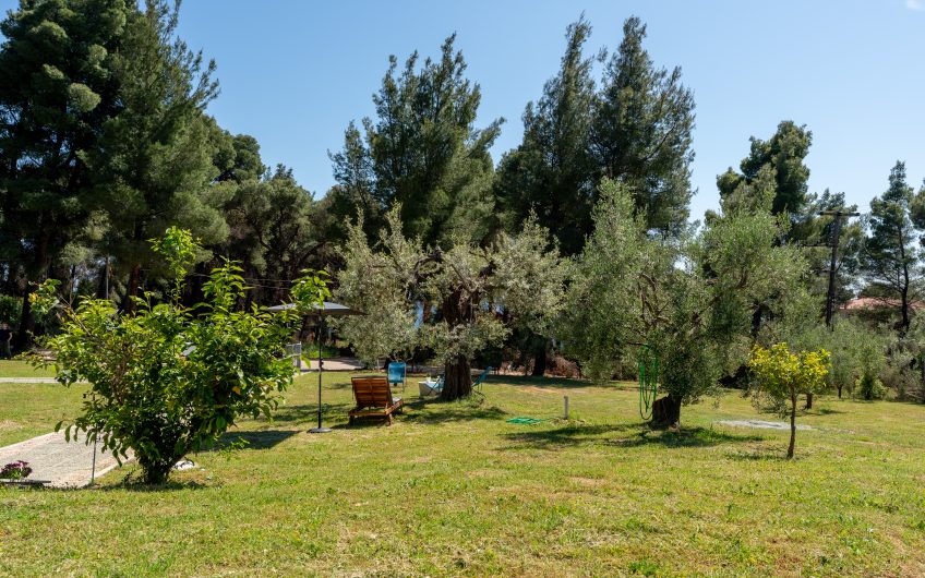 Extraordinary Fresh place in the pines
