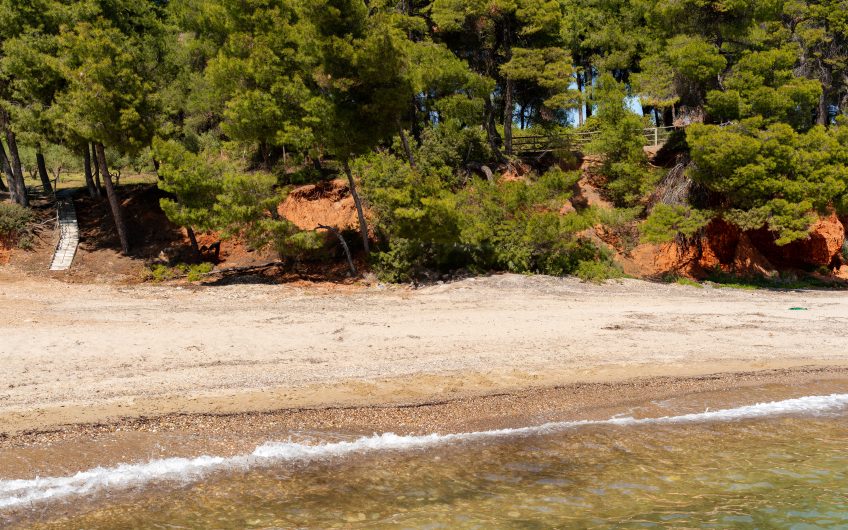 Extraordinary Fresh place in the pines
